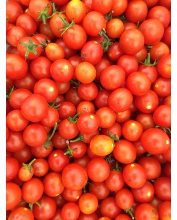Tomato 'Hundreds and Thousands'