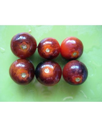 Tomato 'Blue Pitts' 