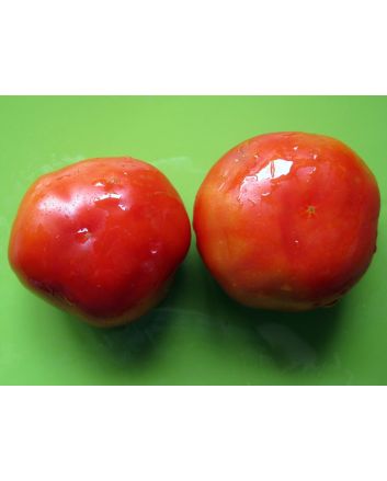 Tomato 'Crimson Cushion'
