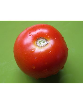 Tomato 'Sweet n' Bright'