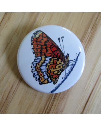 Orange and Blue Butterfly Pinback Button