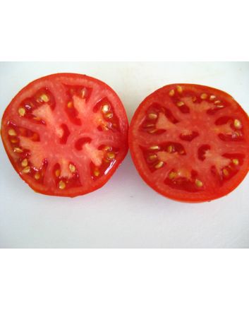 Tomato 'North Queen' AKA 'Severnaya Koroleva' 