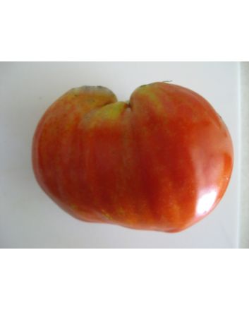 Tomato 'Reif Red Heart' 