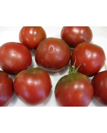 Tomato 'Shokoladnyi' 