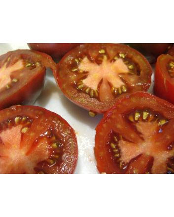 Tomato 'Shokoladnyi' 