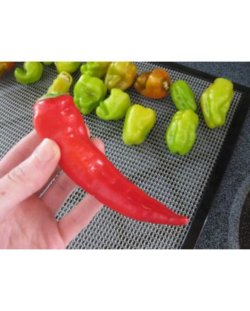Hot Pepper ‘Cyklon' Seeds (Naturally Grown)