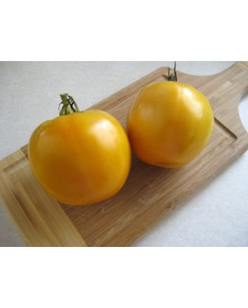 Tomato 'Golden Jubilee' Seeds (Naturally Grown)