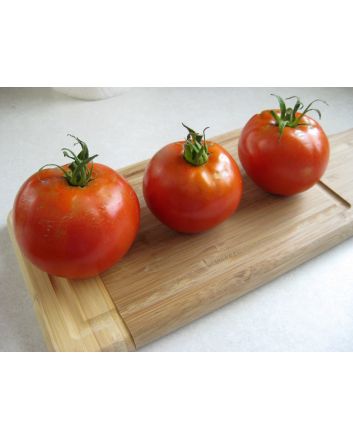 Tomato 'Grosse Lisse' 