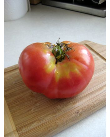 Tomato 'Aunt Lou's Underground Railroad' Seeds (Naturally Grown)