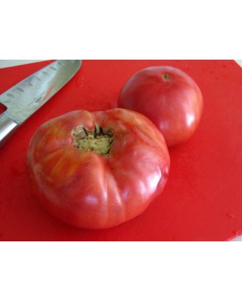 Tomato 'Kosovo' 