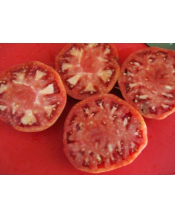 Tomato 'German Giant'