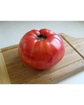Tomato 'Aussie Pink' 