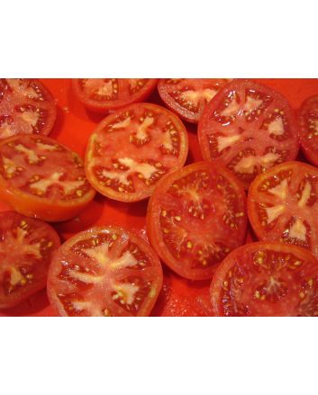 Tomato 'Druzba'