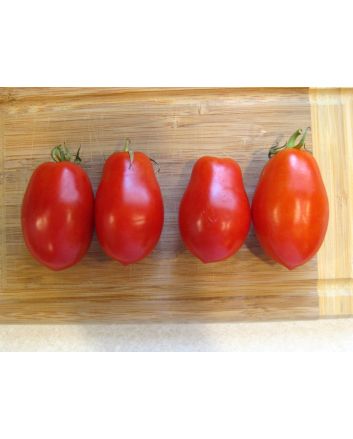 Tomato 'Martino's Roma' 