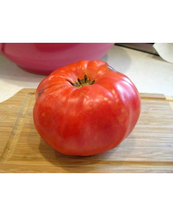 Tomato 'Aussie Pink' 