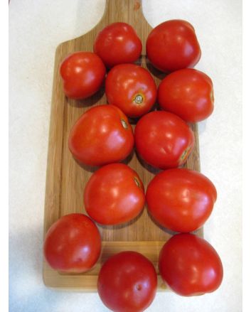 Tomato 'Bellestar'