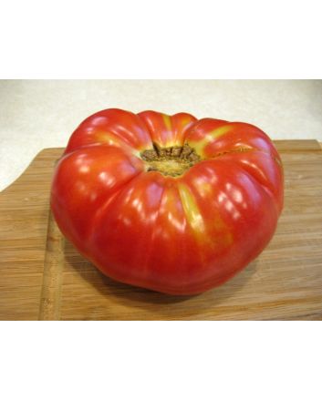 Tomato 'Purple Hillbilly'
