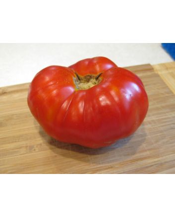 Tomato 'Pantano Romanesco'