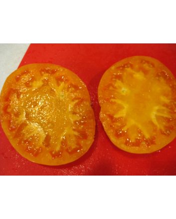 Tomato 'Kentucky Beefsteak'