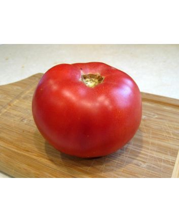 Tomato 'Pink Lady'