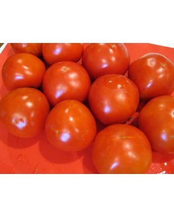 Tomato 'Thessaloniki'