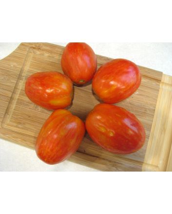 Tomato 'Plum Tigris'