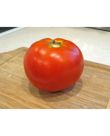 Tomato 'Ace 55'