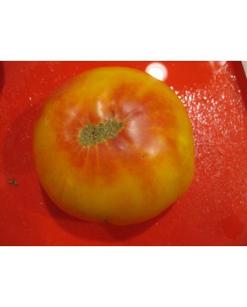Tomato 'Hillbilly' 
