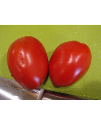 Tomato 'Rio Grande' 