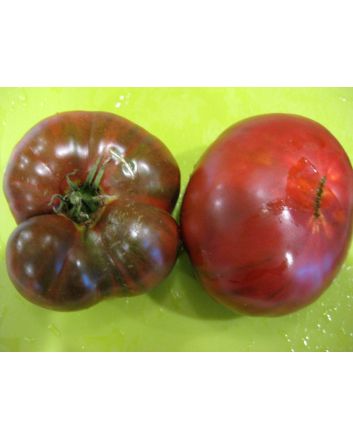 Tomato 'Black Brandywine' 