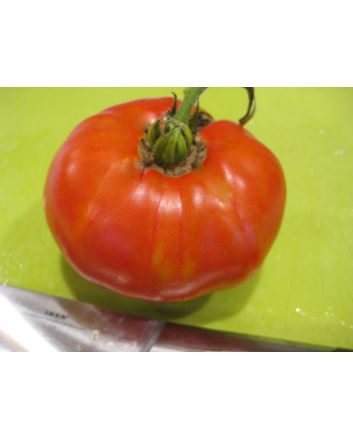 Tomato 'Marianna's Conflict' 
