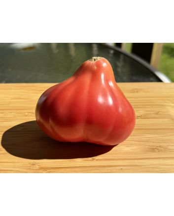 Tomato 'Pear Pink' Seeds (Naturally Grown)