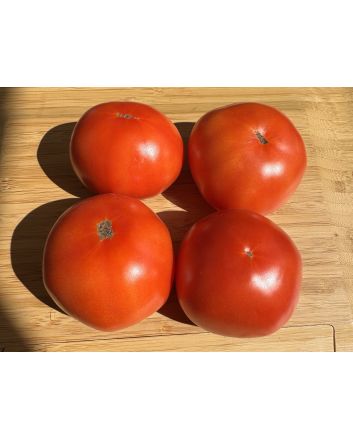 Tomato 'Livingston's Honor Bright' Seeds (Naturally Grown)