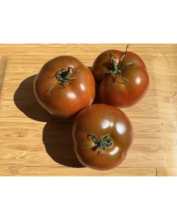 Dwarf Tomato 'Kangaroo Paw Brown' Seeds (Naturally Grown)
