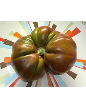 Tomato 'Pierce's Pride' Seeds (Naturally Grown)