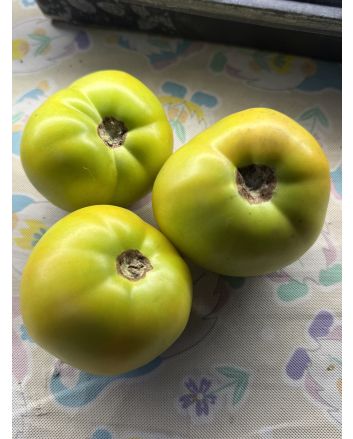 Tomato 'Winter Heart' Seeds (Naturally Grown)