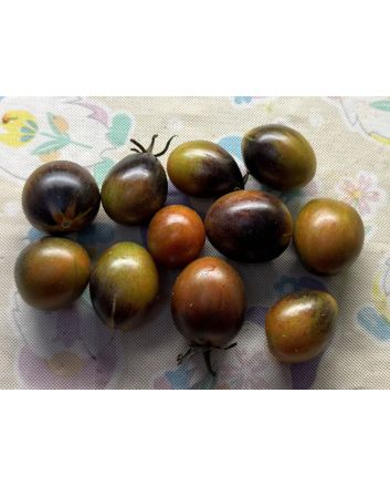 Tomato 'Blue Keyes' Seeds (Certified Organic)