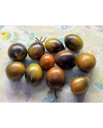 Tomato 'Blue Keyes' Seeds (Certified Organic)
