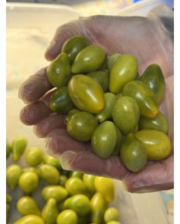 Tomato 'Green Pear' Seeds (Naturally Grown)