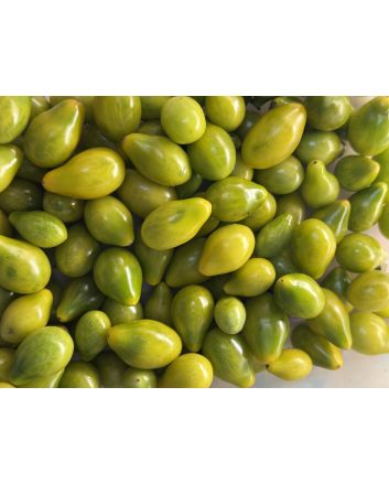 Tomato 'Green Pear' Seeds (Naturally Grown)