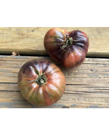 Tomato 'Rebel Starfighter Blane’s Moonlight' Seeds