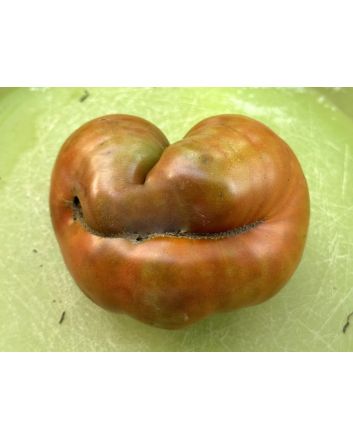 Dwarf Tomato 'Tasmanian Chocolate' Seeds