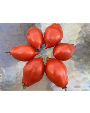 Tomato 'Ropreco Paste' Seeds (Certified Organic)