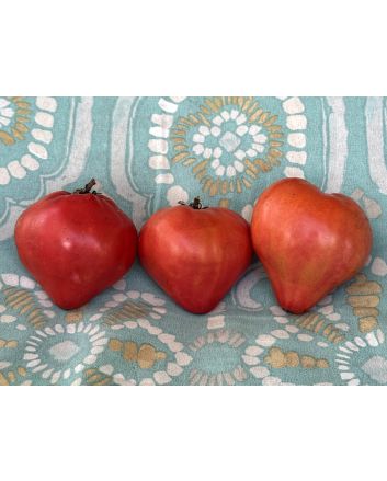 Tomato 'Dobrynya Nikitich' Seeds
