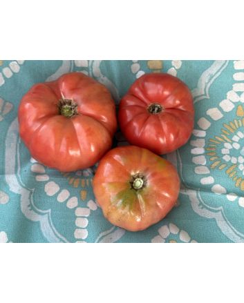 Tomato 'Three Fat Men' (Pink Variant) Seeds (Certified Organic)