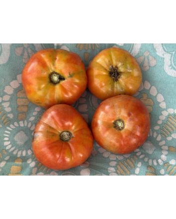 Tomato 'Three Fat Men' Seeds (Certified Organic)