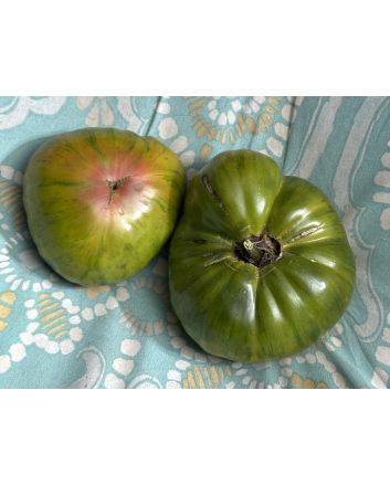 Tomato 'Harvard Square' Seeds