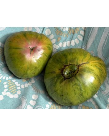 Tomato 'Harvard Square' Seeds
