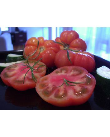 Tomato 'Marmande' 