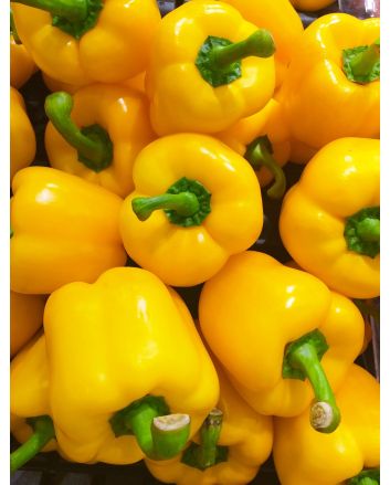 Sweet Pepper ‘Mini Yellow Bell’ Seeds (Naturally Grown)